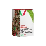 cesta natal corporativa Estrela de Natal — 40 itens com panetone Visconti e vinho Vilena em BH e MG
