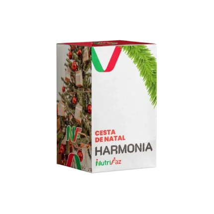 cesta natal corporativa Harmonia — 46 itens com panetones Bauducco e vinho Vilena em BH e MG